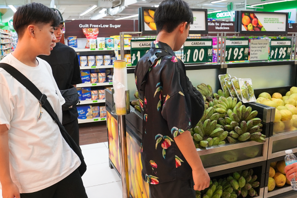 6年間での海外研修