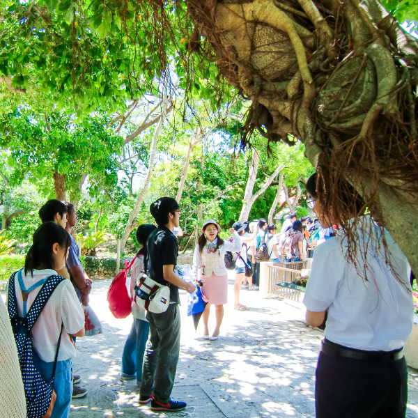 スライドギャラリー画像