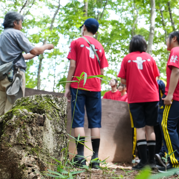 スライドギャラリー画像