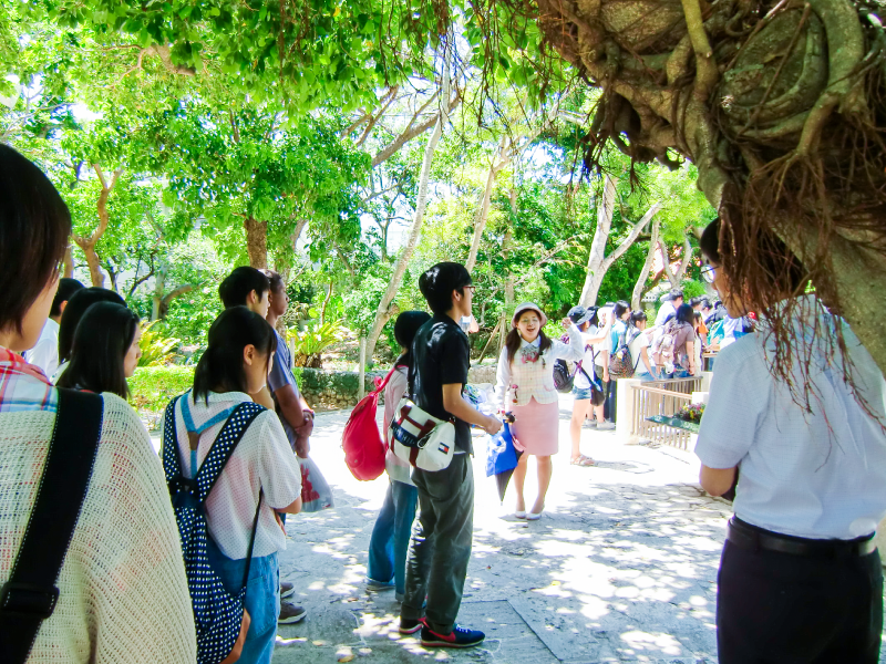 沖縄研修旅行